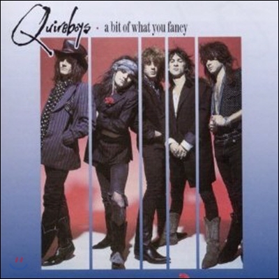 [중고] Quireboys / A Bit Of What You Fancy (수입)