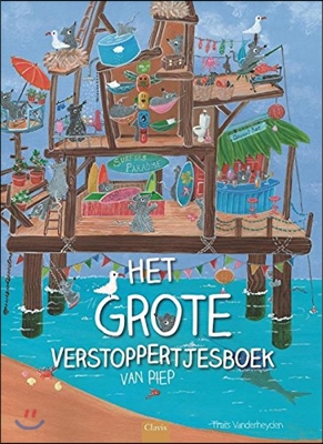 Het grote verstoppertjesboek