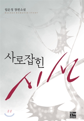 사로잡힌 시선 - 임은정 장편소설 발해BOOKS