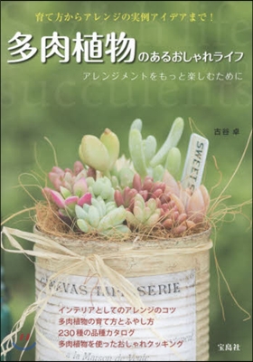 多肉植物のあるおしゃれライフ アレンジメ