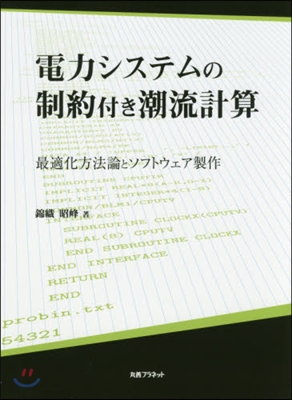 電力システムの制約付き潮流計算－最適化方