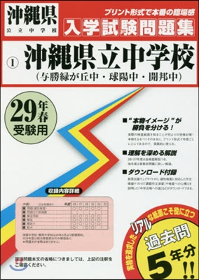 平29 沖繩縣立中學校(輿勝綠が丘中.球