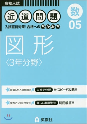 數 圖形 3年分野