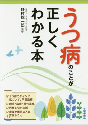 うつ病のことが正しくわかる本