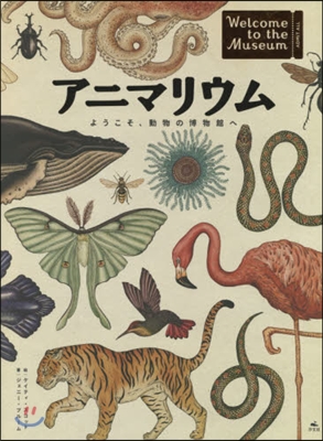 アニマリウム ようこそ,動物の博物館へ