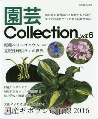 園芸Collection   6