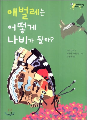 애벌레는 어떻게 나비가 될까?