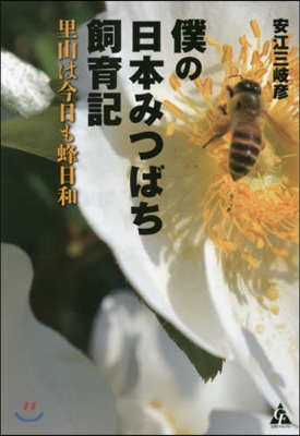 僕の日本みつばち飼育記~里山は今日も蜂日