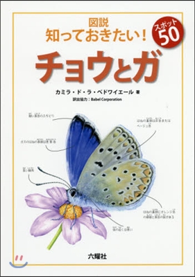 チョウとガ 圖說知っておきたい!スポット