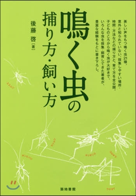 鳴く蟲の捕り方.飼い方