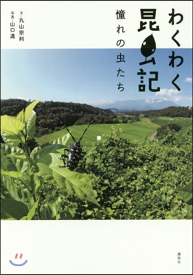 わくわく昆蟲記 憧れの蟲たち