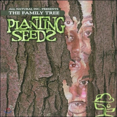 The Family Tree (패밀리 트리) - Planting Seeds