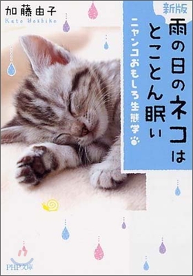 雨の日のネコはとことん眠い