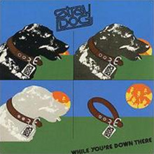 Stray Dog - While You're Down There (Expanded Edition)