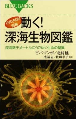 DVD-ROM&amp;圖解 動く!深海生物圖鑑