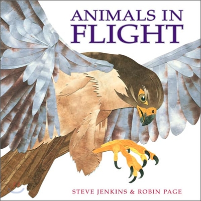 Animals in Flight