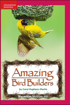 Treasure Chest Grade 3.5.2 Amazing Bird Builders (Book & CD) 