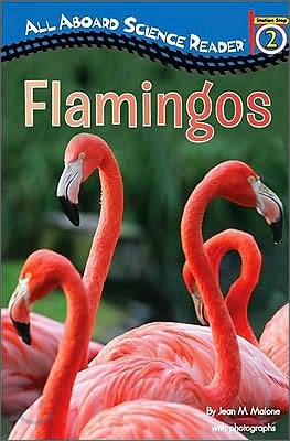 All Aboard Reading Level 2 (Science Reader) : Flamingos