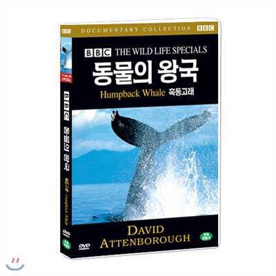 BBC 동물의왕국- 혹등고래 (Humpback Whale  BBC THE WILD LIFE SPECIAL)