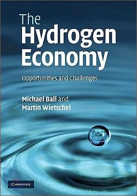 The Hydrogen Economy: Opportunities and Challenges