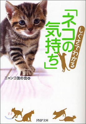 しぐさでわかる「ネコの氣持ち」