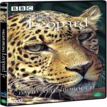[DVD] BBC Wildlife Specials : Leopard - BBC 와일드라이프 스페셜: 표범