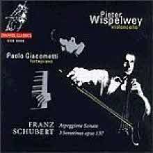 Pieter Wispelwey - Schubert : Arpeggione Sonata, 3 Sonatinas Opus137 (수입/ccs9696)