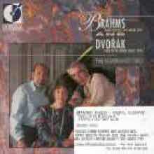 Rembrandt Trio - Brahms : Piano Trio No. 1 in B Major, Op. 8, Dvorak : Piano Trio in E Minor &#39;DUMKY&#39;, Op 90 (수입/dor90160)