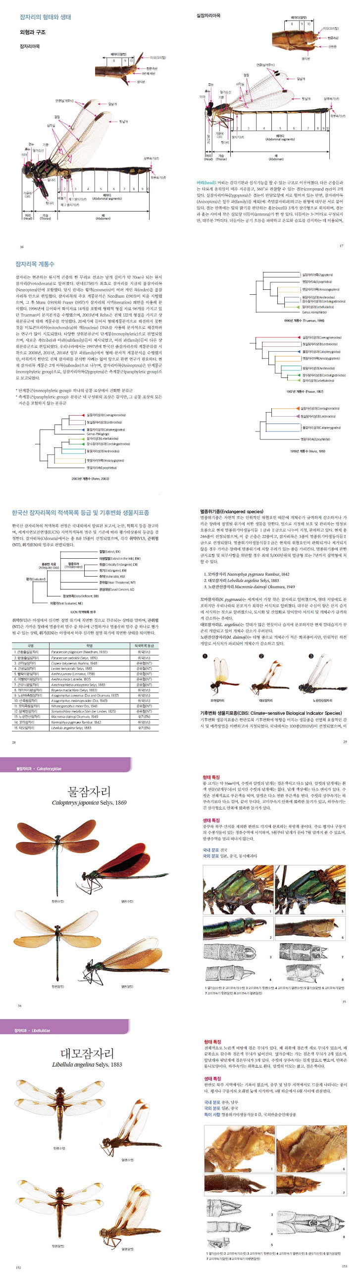 상세 이미지 1