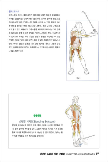 골프 아나토미