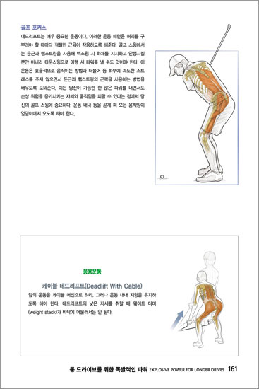 골프 아나토미