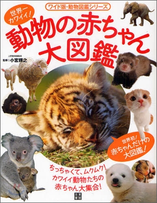 動物の赤ちゃん大圖鑑