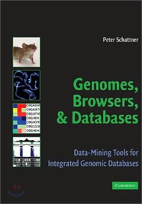 Genomes, Browsers and Databases: Data-Mining Tools for Integrated Genomic Databases