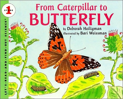 From Caterpillar to Butterfly (Paperback)