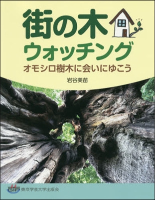 街の木ウォッチング オモシロ樹木に會いに