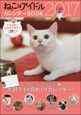 ねこはアイドル カレンダ-BOOK 2017