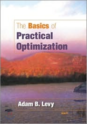 The Basics of Practical Optimization