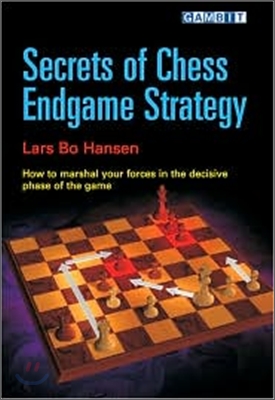 Secrets of Chess Endgame Strategy