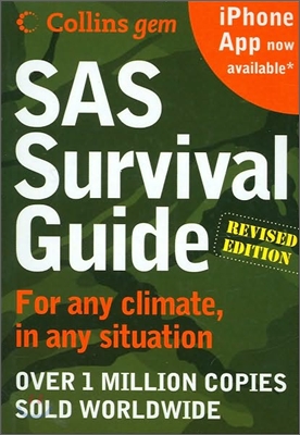 Sas Survival Guide