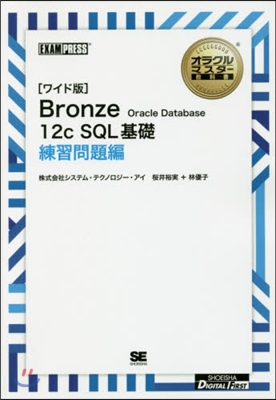 ブロンズ 12cSQL基礎 練習問題編