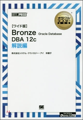 ブロンズ DBA12c 解說編