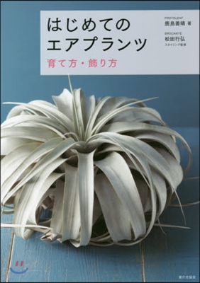 はじめてのエアプランツ 育て方.飾り方