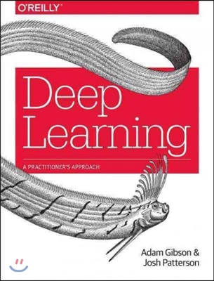 Deep Learning: A Practitioner&#39;s Approach