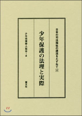 少年保護の法理と實際