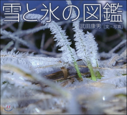 雪と氷の圖鑑