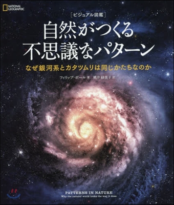 自然がつくる不思議なパタ-ン