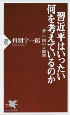 習近平はいったい何を考えているのか