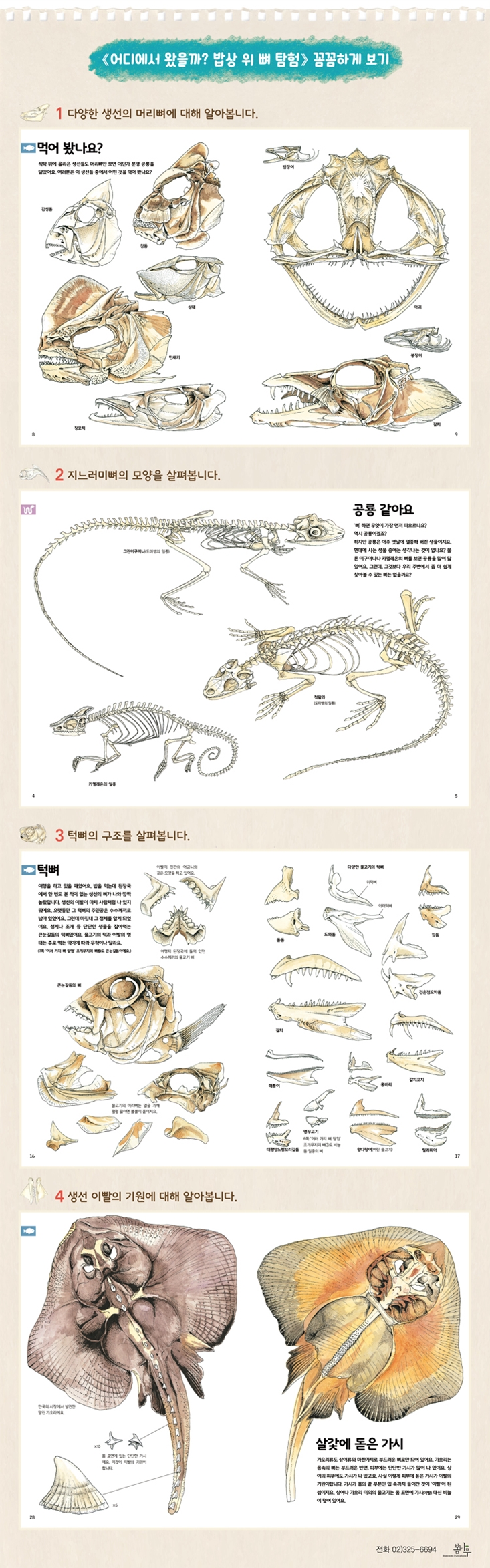 상세 이미지 1