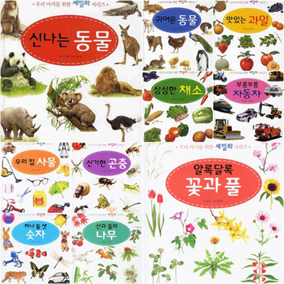우리 아기를 위한 세밀화 시리즈 (전10권) - 나무.곤충.자동차.채소.숫자.동물.사물.과일.꽃과풀