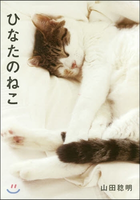 ひなたのねこ